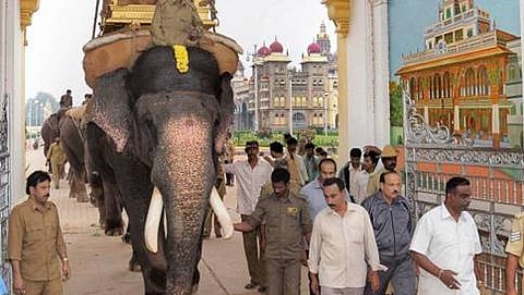 ಚಿನ್ನದ ಅಂಬಾರಿ ಹೊರಲಿರುವ ಅರ್ಜುನ