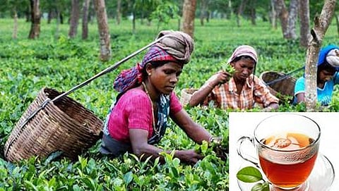 ಸಾಂದರ್ಭಿಕ ಚಿತ್ರ