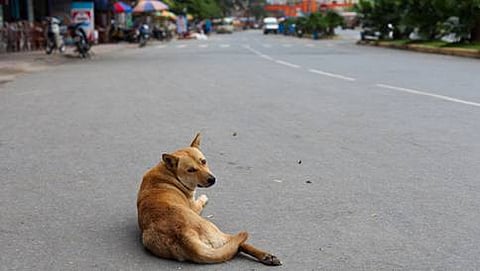ಸಾಂದರ್ಭಿಕ ಚಿತ್ರ
