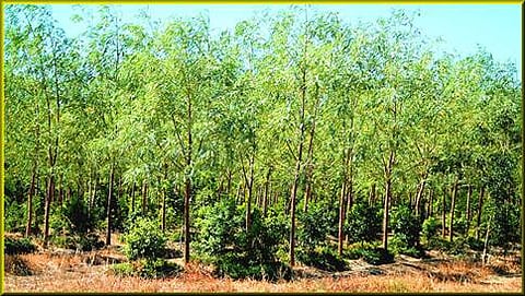 ಸಾಂದರ್ಭಿಕ ಚಿತ್ರ