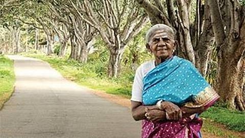 ಸಾಲು ಮರದ ತಿಮ್ಮಕ್ಕ