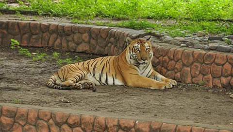 ಸಂಗ್ರಹ ಚಿತ್ರ