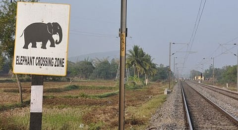 ಸಾಂದರ್ಭಿಕ ಚಿತ್ರ