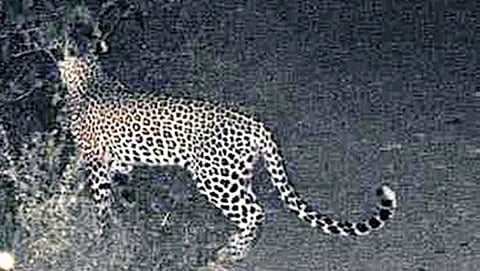 ಸಾಂದರ್ಭಿಕ ಚಿತ್ರ