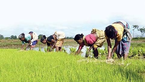 ಸಾಂದರ್ಭಿಕ ಚಿತ್ರ