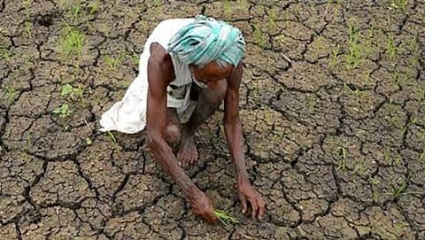 ಸಾಂದರ್ಭಿಕ ಚಿತ್ರ