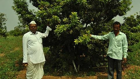 ನಗರೆಪ್ಪ ಭಜಂತ್ರಿ