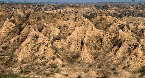 ಚಂಬಲ್ ಕಣಿವೆಯ ಒಂದು ದೃಶ್ಯ