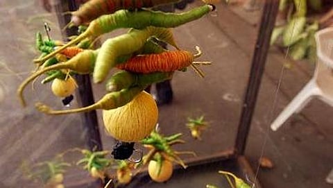 ಸಾಂದರ್ಭಿಕ ಚಿತ್ರ