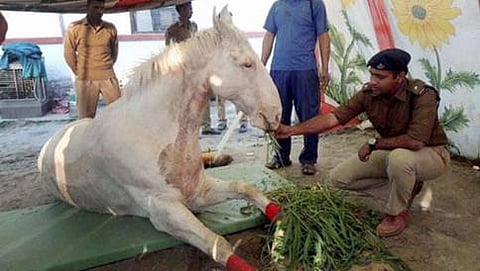 ಶಕ್ತಿಮಾನ್