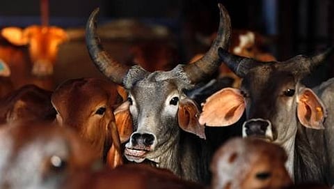 ಸಂಗ್ರಹ ಚಿತ್ರ