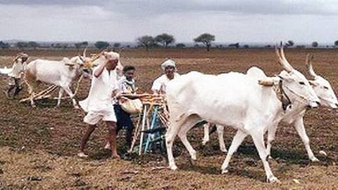ಜಮೀನಿನಲ್ಲಿ ಕಾರ್ಯ ನಿರ್ವಹಿಸುತ್ತಿರುವ ರೈತರು