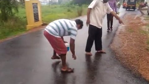ಆಂಧ್ರ ಪ್ರದೇಶದಲ್ಲಿ ಮೀನು ಮಳೆ (ಸಂಗ್ರಹ ಚಿತ್ರ)