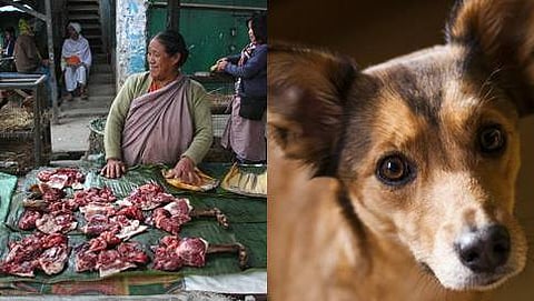 ನಾಗಾಲ್ಯಾಂಡ್ ನಲ್ಲಿ ನಾಯಿ ಮಾಂಸ ಮಾರಾಟ ನಿಷೇಧ!