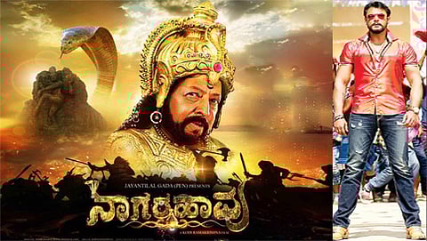 ನಟ ದರ್ಶನ್ ಮತ್ತು ನಾಗರಹಾವು ಚಿತ್ರ (ಸಂಗ್ರಹ ಚಿತ್ರ)