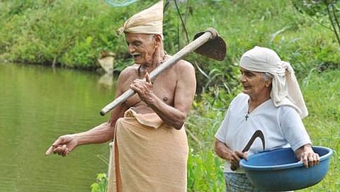 ಇಡುಕ್ಕಿಯ ತಮ್ಮ ಜಮೀನಿನಲ್ಲಿ ಪಪ್ಪಚನ್ ಮತ್ತು ತ್ರೆಸ್ಸ್ಯಮ್ಮ ದಂಪತಿ