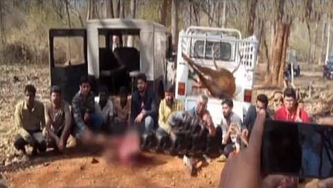 ಚಿಕ್ಕಮಗಳೂರಿನಲ್ಲಿ 2 ಕಡವೆ ಬೇಟೆ: ಶಾರ್ಪ್ ಶೂಟರ್ ಸೇರಿ 11 ಮಂದಿ ಬಂಧನ