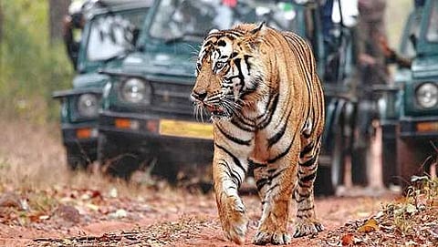 ಸಾಂದರ್ಭಿಕ ಚಿತ್ರ