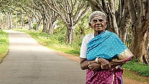 ಸಾಲು ಮರದ ತಿಮ್ಮಕ್ಕ