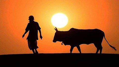 ಗೋರಕ್ಷಣೆ ಸಂಬಂಧ ದೂರು ನೀಡಿದ್ದ ಮಹಿಳೆ ಮೇಲೆ ಹಲ್ಲೆ ಆರೋಪ ಸುಳ್ಳು: ಬೆಂಗಳೂರು ಪೊಲೀಸರು