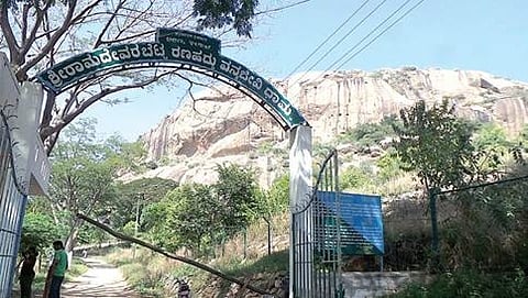 ರಾಮದೇವರ ಬೆಟ್ಟ ರಣಹದ್ದು ವನ್ಯಧಾಮ