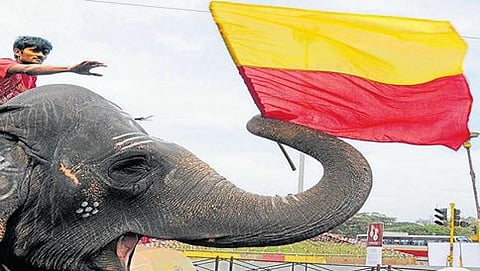 ಕರ್ನಾಟಕ ರಾಜ್ಯೋತ್ಸವ: ಬಿಬಿಎಂಪಿ ಉದ್ಯಾನಗಳು ಸೇರಿ ನಗರದೆಲ್ಲೆಡೆ ಕನ್ನಡ ಧ್ವಜ ಹಾರಾಟ