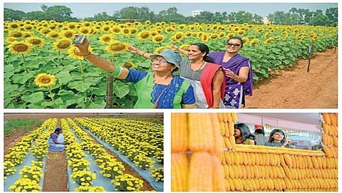 ಕೃಷಿ ಮೇಳ 2017