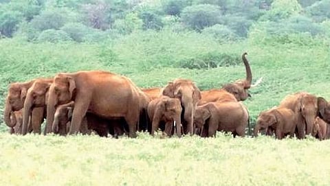 ಸಂಗ್ರಹ ಚಿತ್ರ