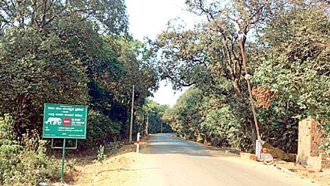 ಭೀಮಗಡ ಅಭಯಾರಣ್ಯದೊಳಗೆ ಹೋಗುವ ರಸ್ತೆ