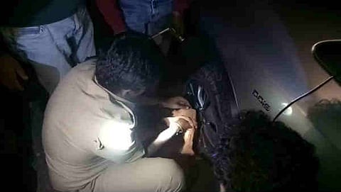 ಅಣ್ಣಾಮಲೈ
