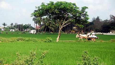 ಸಾಂದರ್ಭಿಕ ಚಿತ್ರ