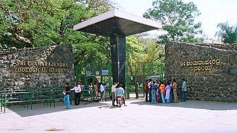 ಮೈಸೂರು ಮೃಗಾಲಯ