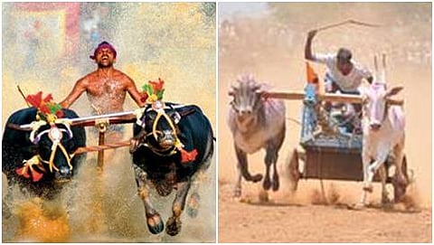ಕಂಬಳ-ಎತ್ತಿನಗಾಡಿ ಓಟ