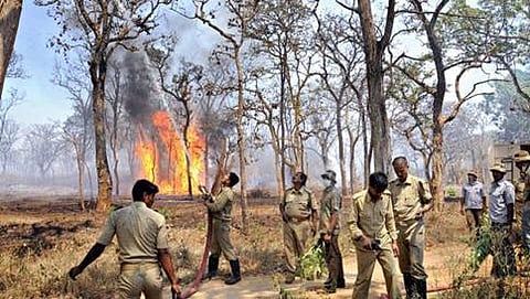 ಸಾಂದರ್ಭಿಕ ಚಿತ್ರ