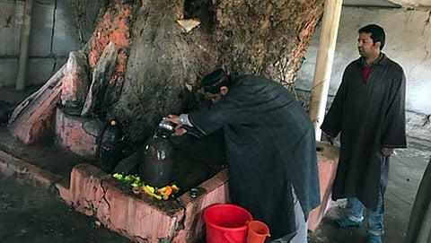 ಶಿವಲಿಂಗಕ್ಕೆ ಹಾಲೆರೆಯುತ್ತಿರುವ ಮುಸ್ಲಿಂ ಬಾಂಧವರು