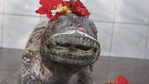 ವ್ಯಾಗ್ರೇಶ್ವರ ದೇವಾಲಯ
