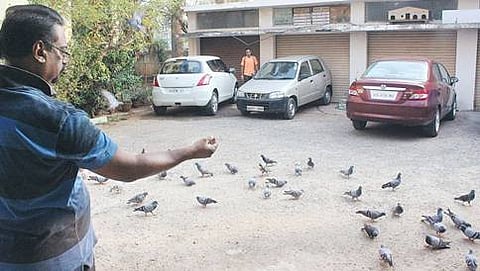 ಪಕ್ಷಿಗಳಿಗೆ ಆಶ್ರಯದಾತ ನಗರದ ಈ ಪಕ್ಷಿ ಪ್ರಿಯ!