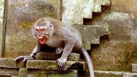 ಸಾಂದರ್ಭಿಕ ಚಿತ್ರ