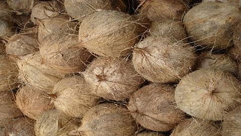 ಸಾಂದರ್ಭಿಕ ಚಿತ್ರ
