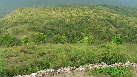 ಸಾಂದರ್ಭಿಕ ಚಿತ್ರ
