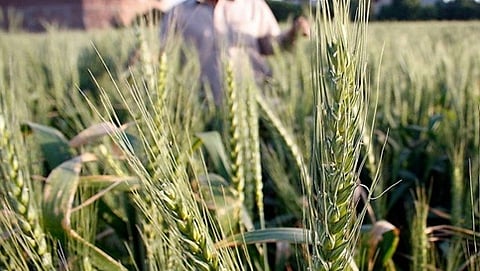 ಕೃಷಿ ಆದಾಯಕ್ಕೂ ತೆರಿಗೆ ವಿಧಿಸಬೇಕು