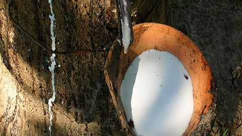 ರಬ್ಬರ್ ಉತ್ಪಾದನೆ