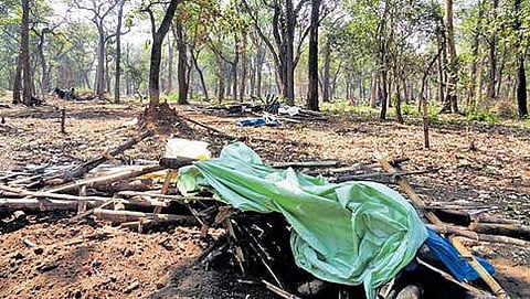 ದಿಡ್ಡಳ್ಳಿ