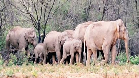 ಸಾಂದರ್ಭಿಕ ಚಿತ್ರ