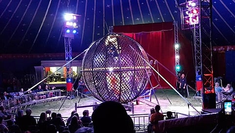 ಅಮೆರಿಕನ್ ಸರ್ಕಸ್