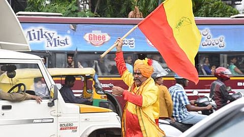 ಕನ್ನಡ ಪರ ಹೋರಾಟಗಾರ