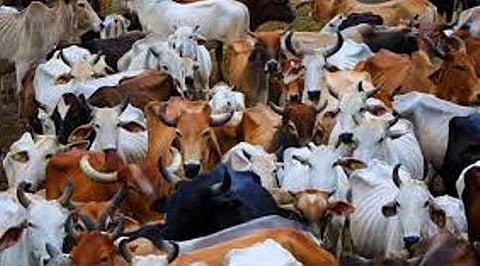 ಸಾಂದರ್ಭಿಕ ಚಿತ್ರ