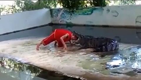 ಮೊಸಳೆ ಬಾಯಲ್ಲಿ ತಲೆ ಇಟ್ಟು ಸಾಹಸ ಪ್ರದರ್ಶನ