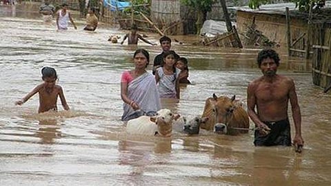 ಸಂಗ್ರಹ ಚಿತ್ರ