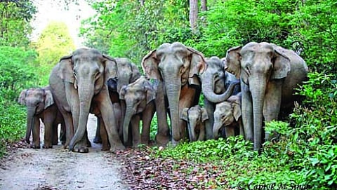 ಸಾಂದರ್ಭಿಕ ಚಿತ್ರ
